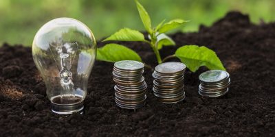 high-angle-small-tree-stack-coins